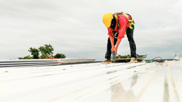 Best Cold Roofs  in Rantoul, IL