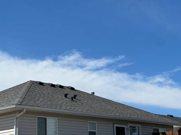Best Rubber Roofing (EPDM, TPO)  in Rantoul, IL