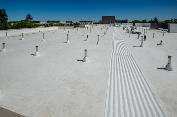 Best Flat Roofing  in Rantoul, IL